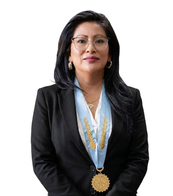 Junta-Directiva-ICAA-2026-2027- Abog. Diana Flores Quispe